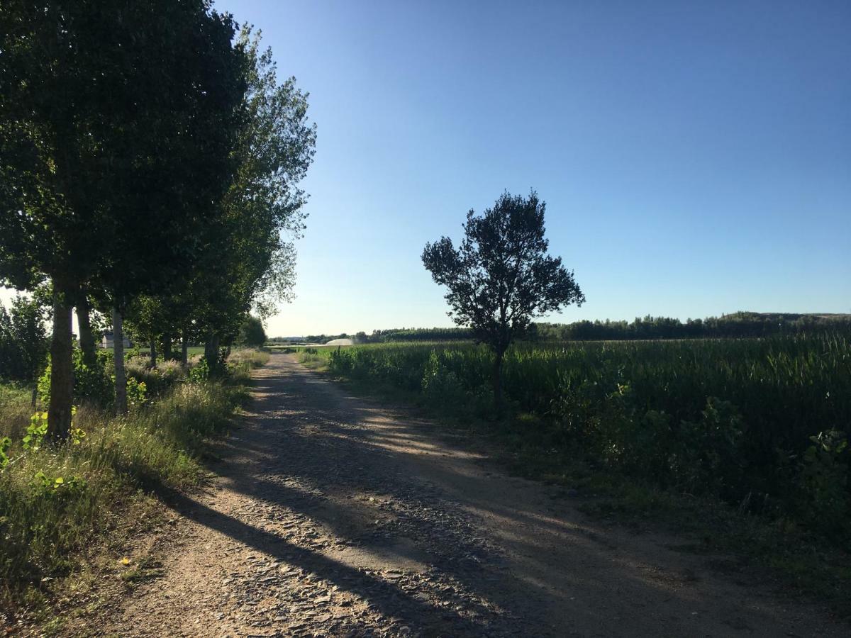 Casas Olmo Y Fresno Jardin Y Piscina A 17 Kilometros De